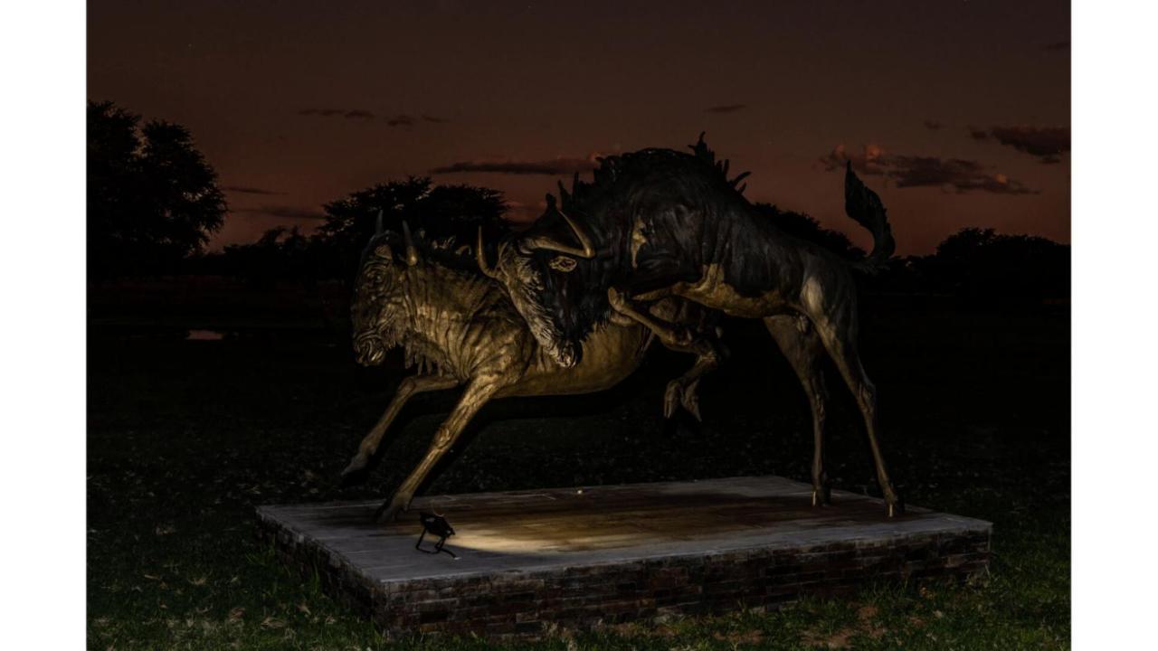 Sandune Game Lodge Gobabis المظهر الخارجي الصورة